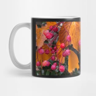 Fall Berries for a Bountiful Autumn of Abundance Mug